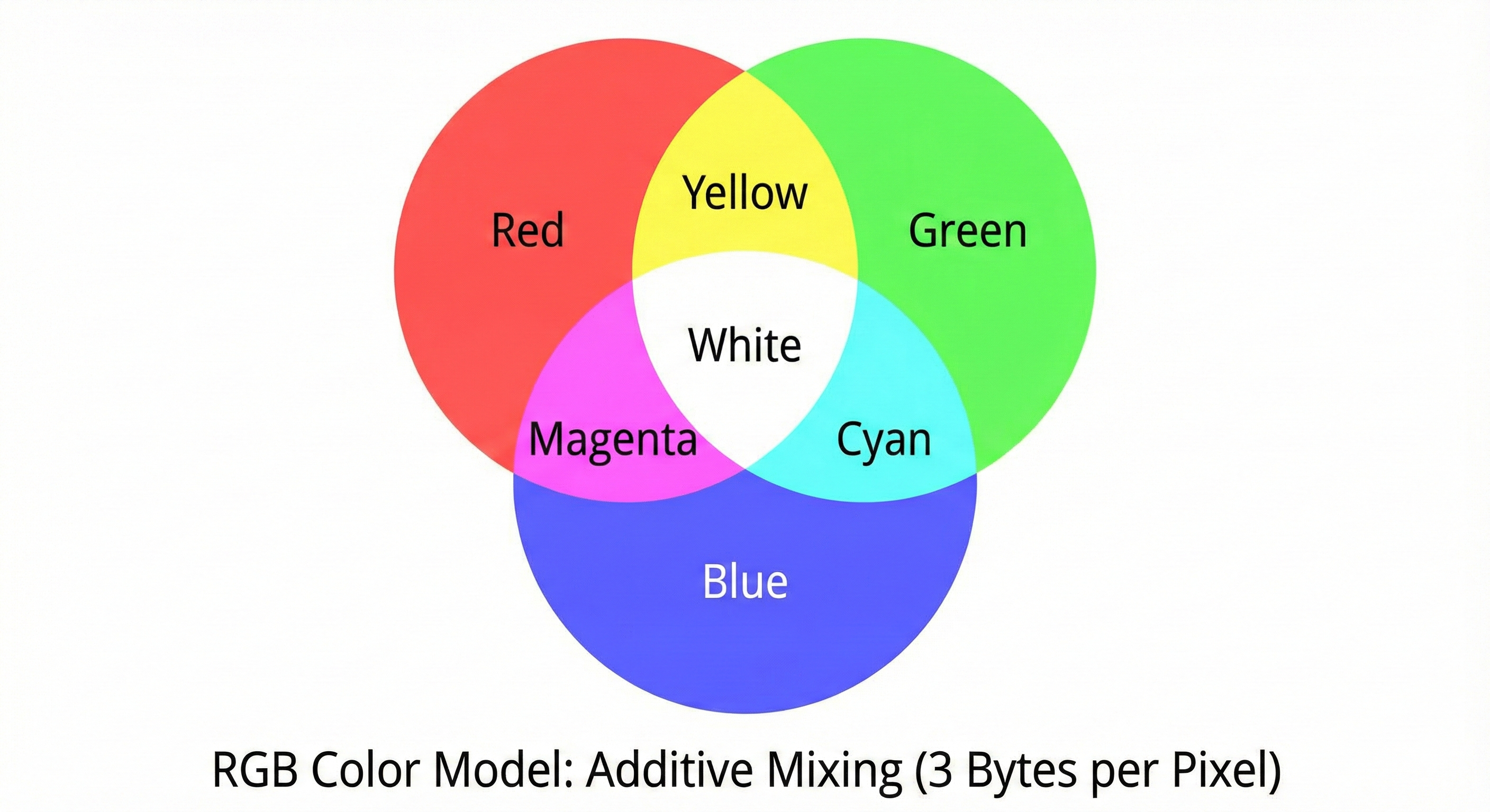 bg fit