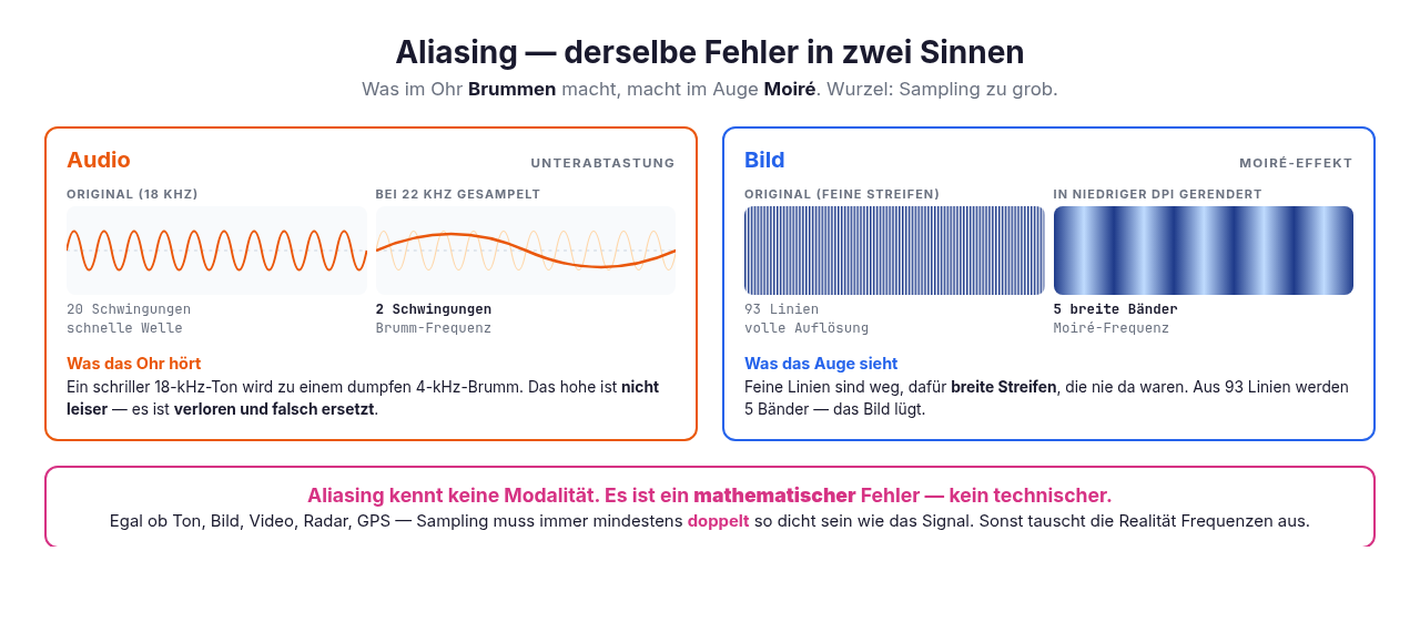 bg fit